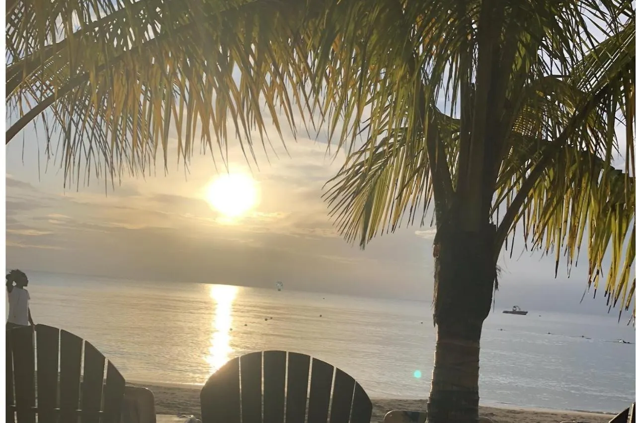公寓 Seacret Studios - Cozy Jamaican Retreat Apts 内格里尔
