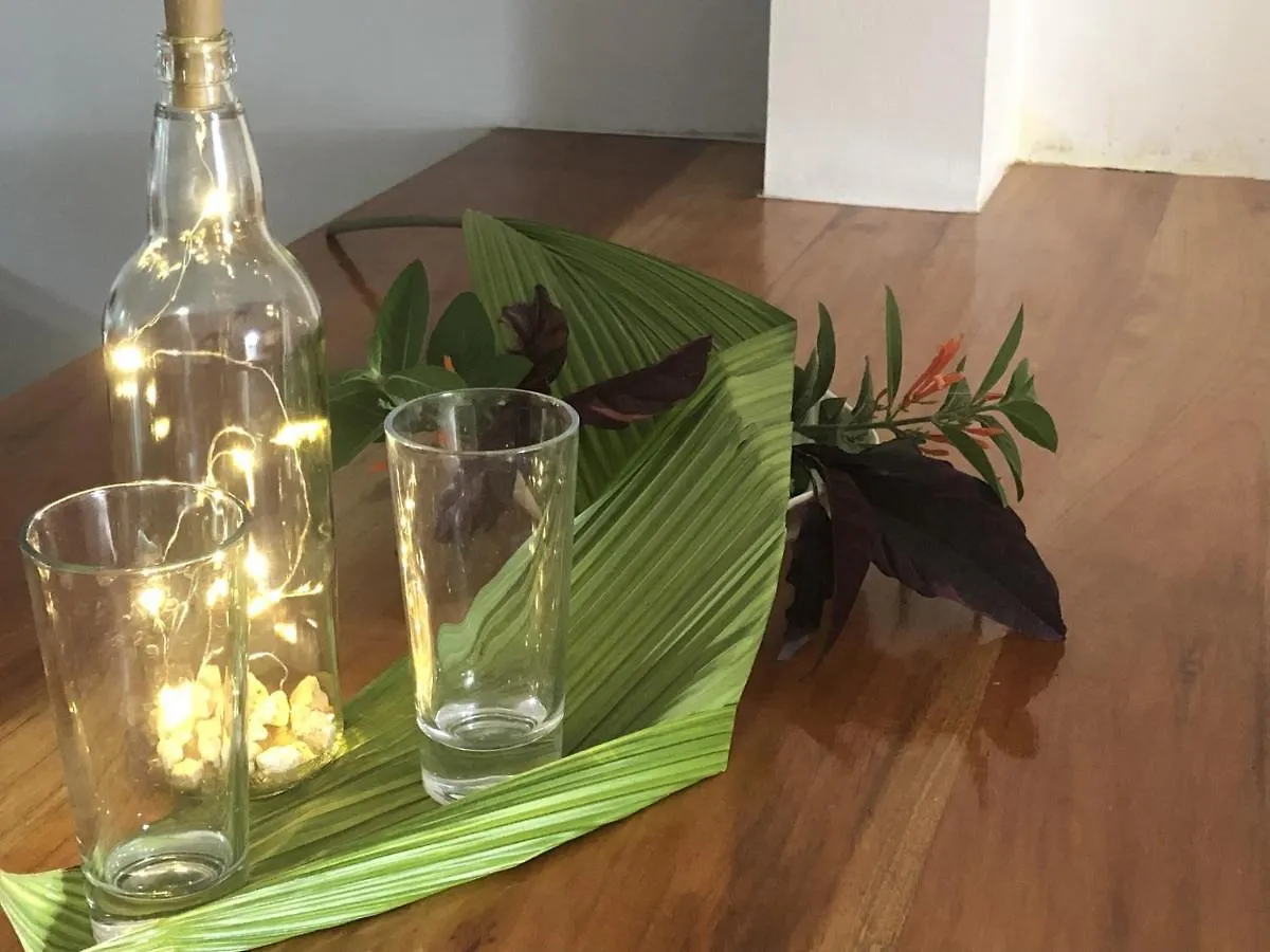 Seacret Studios - Cozy Jamaican Retreat Apts 内格里尔 公寓